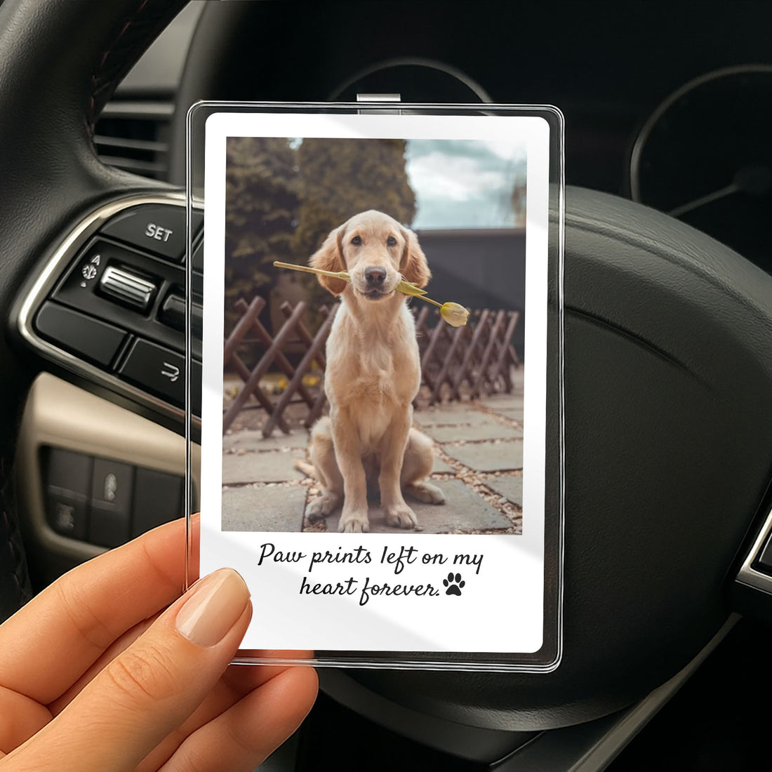 Miss Your Pup? This Dog Memorial Car Clip Is a Loving Tribute You Can Take Anywhere

