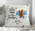 You Were My Favorite Hello And My Hardest Goodbye Pet Photo Memorial Pillow